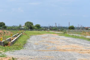 DSC_0256